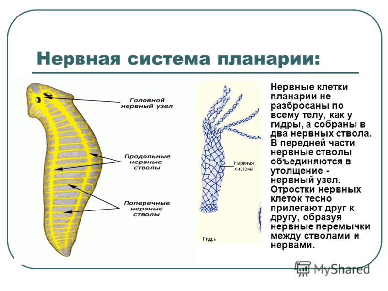 Кракен 2krn